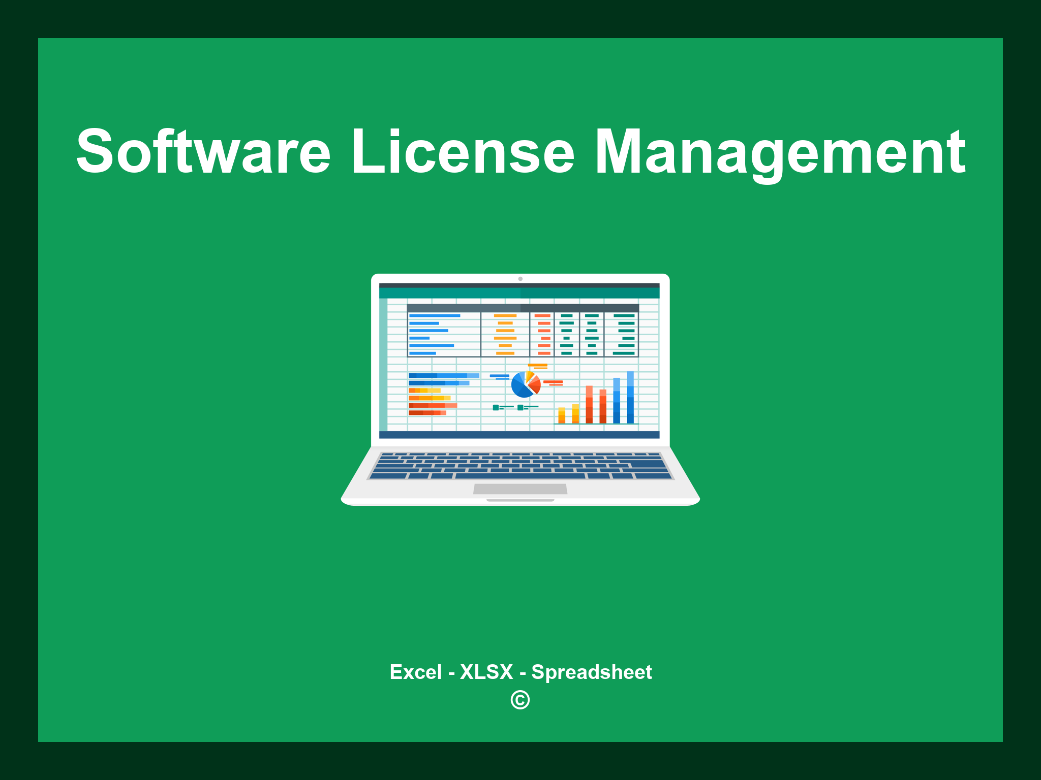Software License Management Excel Template